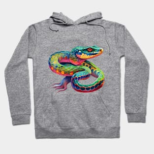 Colorful Snake #2 Hoodie